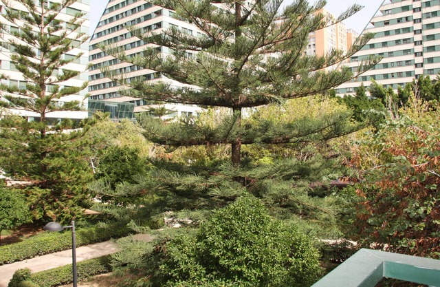 APARTAMENTOS LAS CIENCIAS D. Wifi + 5 PAX + AIRE ACONDICIONADO