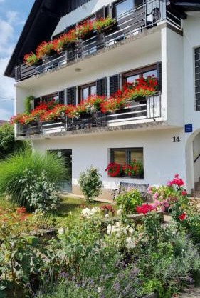 Apartman Bosco