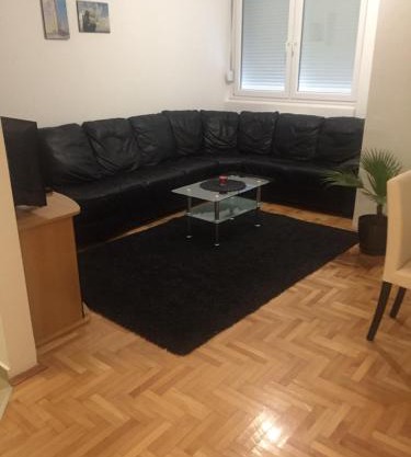 Apartman PEŠAČKA ZONA