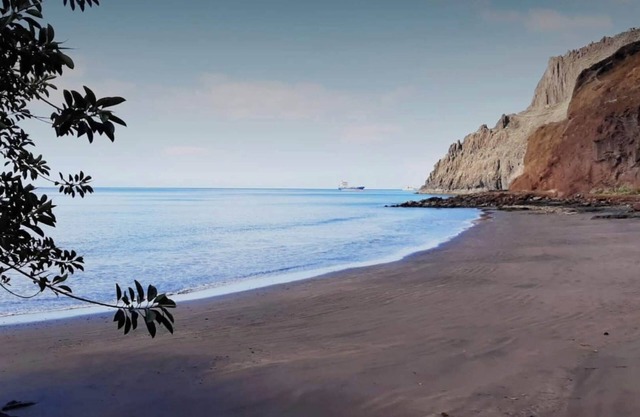 Apartment on the seashore