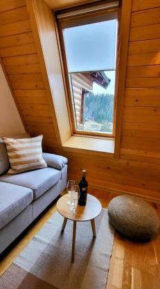 Apartment 533 in Aparthotel Vucko Jahorina - Private host