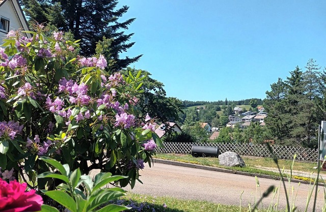 Apartment 'Brigachglück' with Shared Garden and Wi-Fi