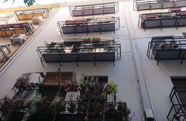 APARTMENT CENTRICO-EL CARMEN