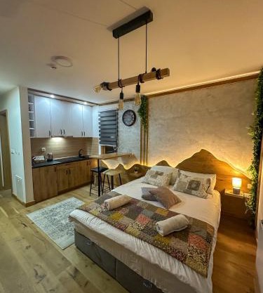 Apartment D248- aparthotel Vucko