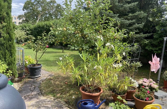 Apartment 'Ferienwohnung 1 36m2' with Shared Garden, Balcony and Wi-Fi