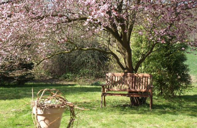 Apartment for max. 5 people in nature and yet central garden and pool