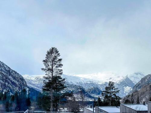 Apartment Hemsedal II