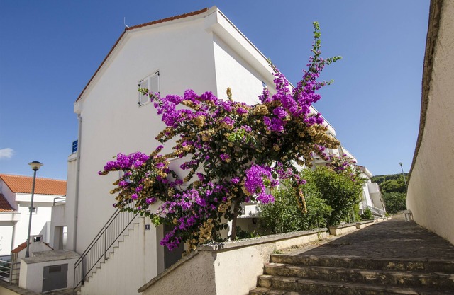 Apartment Tatjana (47411-A1) - Necujam - island Solta