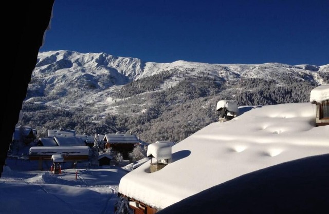 Apartment in Chalet, Les Fermes de Méribel