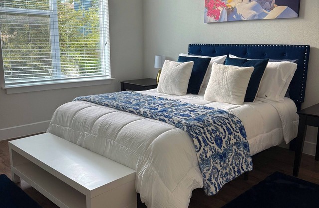 Apartment in downtown Austin