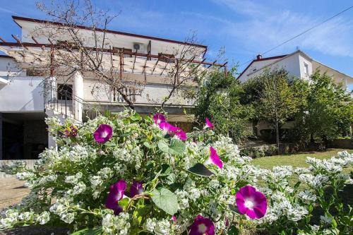Apartment in Starigrad near Paklenica Park