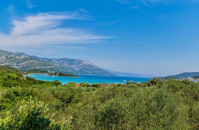 Apartment Leo (54191-A1) - Račišće