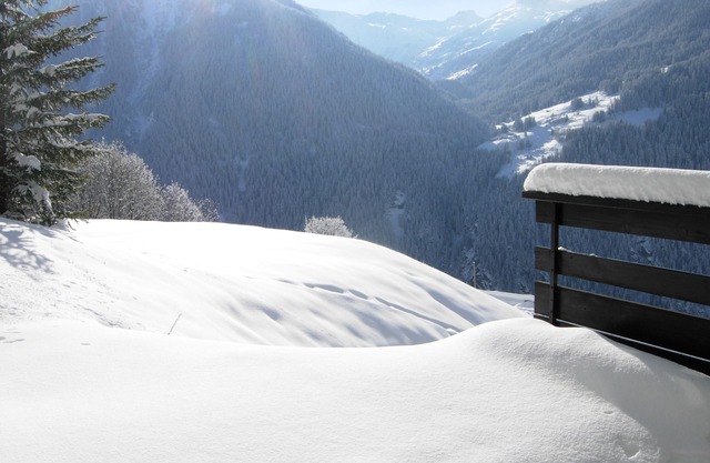 Apartment Les Arcs Peisey-Vallandry 6 people - full West Terrace