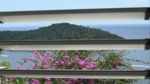 Apartment Lokrum
