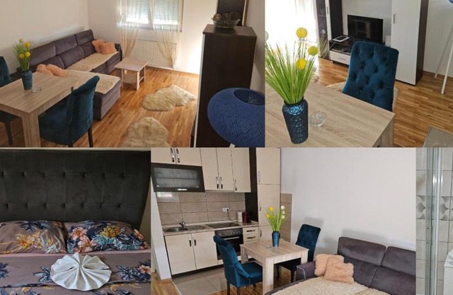 Apartment MG Lux