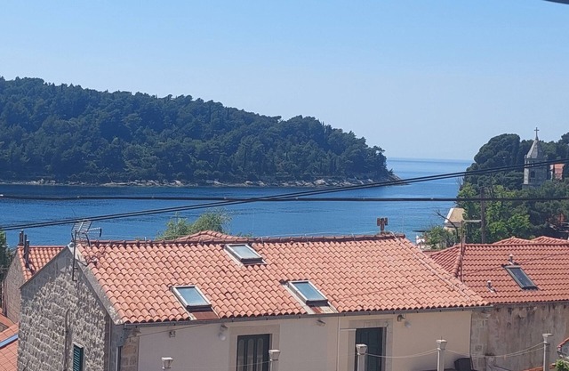 Apartment Saul Cavtat - One Bedroom Apartment with Terrace and Sea View