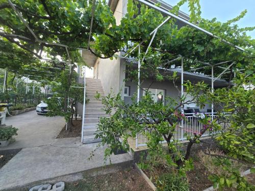 Apartment Sutic
