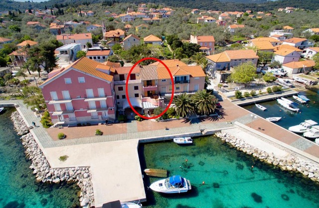 Apartments by the sea Poljana, Ugljan - 8432