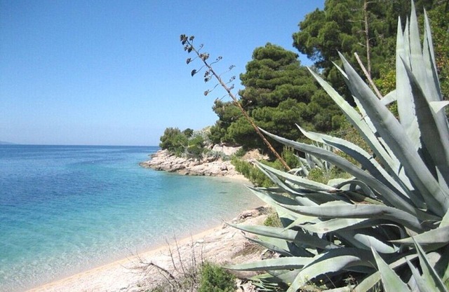 Apartments Nada, (10374), Bol, Croatia