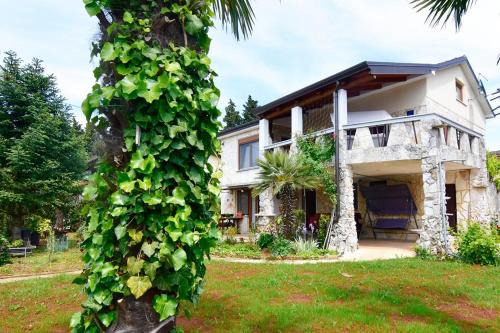 Apartments with parking space Savudrija, Umag - 13589