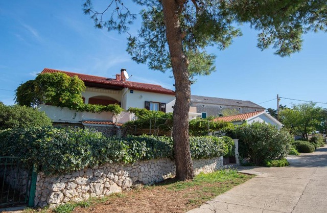 Apartments with parking space Molat - 6249