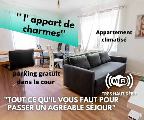 appart de charme a 2 pas du centre de Montbrison