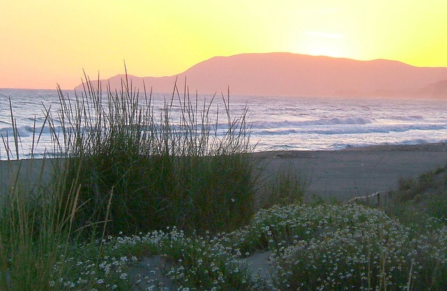 Appartamento Malibu