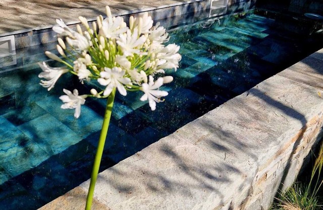 Appartement Avec Jardin Terrasse et Piscine Privée Dans Maison de Village