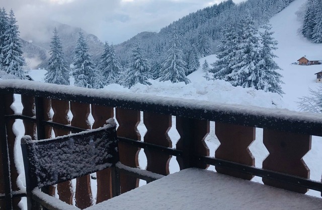 Appartement au Coeur des Alpes