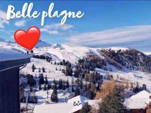 Appartement BELLE PLAGNE et PARKING