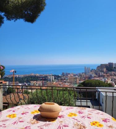 Appartement dans villa provençale avec terrain de boules vue imprenable sur monaco