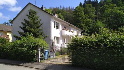 Appartement In Steina Mit Terrasse