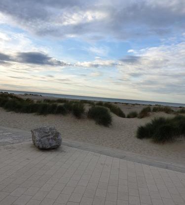 appartement malo les bains plage