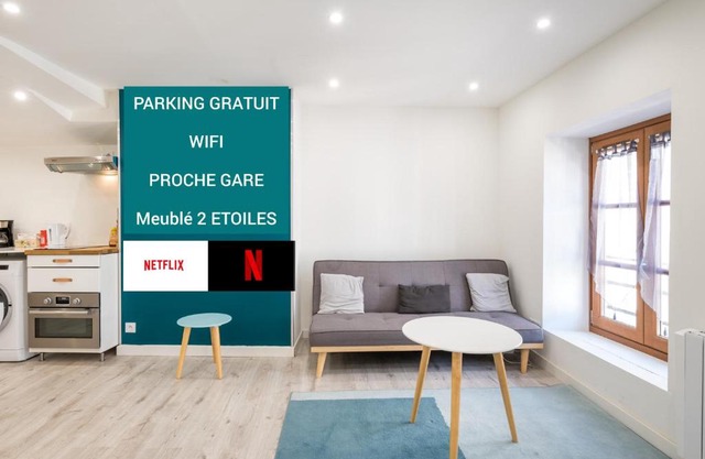 Appartement Netflix centre de Vienne près de Lyon