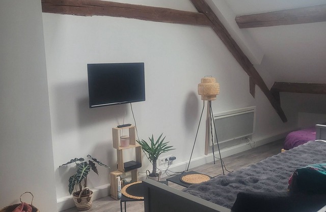 Appartement Plein de Charme