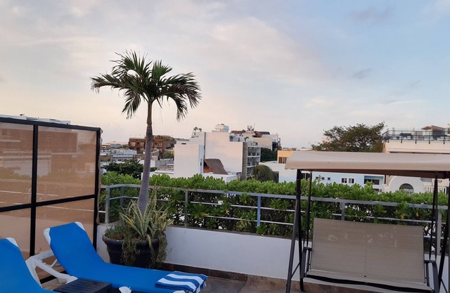 Aqua Vista - Pet Friendly - Junior Suite - Pasos A Playa - Steps To The Beach