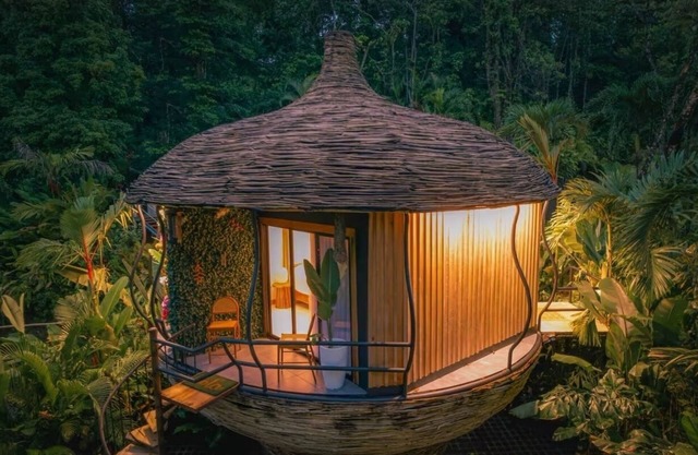Arenal Palms