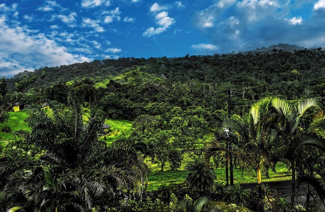 Arenal Roca Lodge