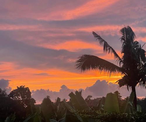 Art D Sunset