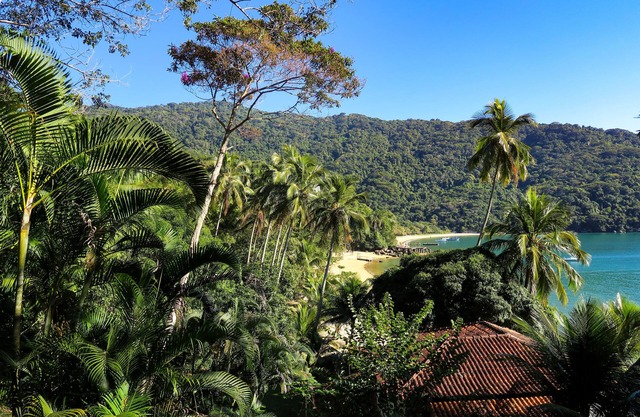 Atlantica Jungle Lodge