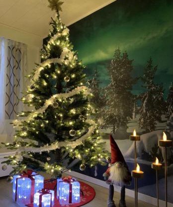 Aurora Night Stay in Rovaniemi