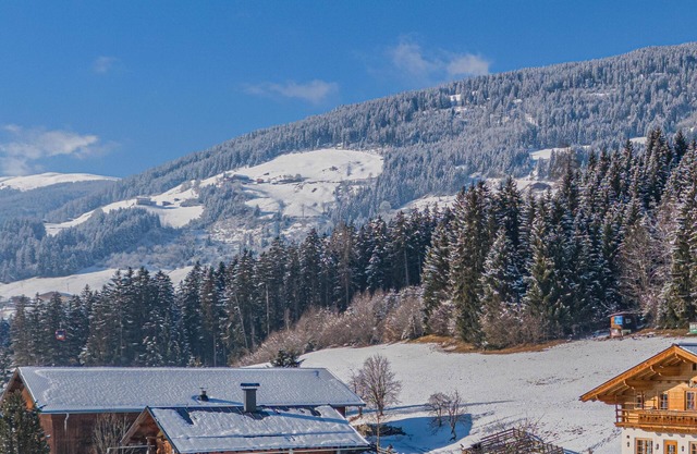 Authentic cosiness with a mountain panorama