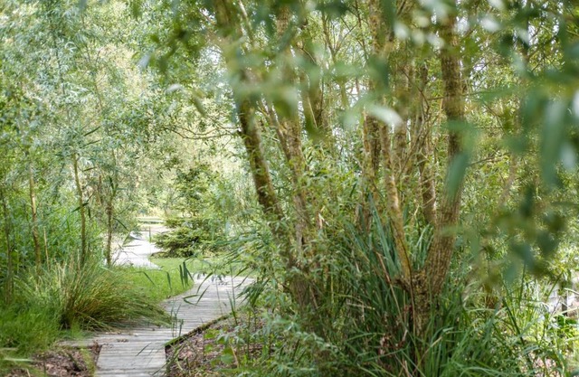 B&B en Wellness De Kleine Bever
