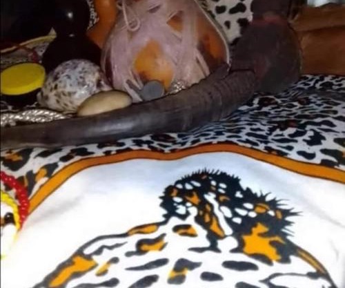 Baabaa Baabuu Best Sangoma Traditional Healer Love Spells Johannesburg, Bassonia, Glenvista, Lenasia, Oakdene, Winchester Hills and Mulbarton