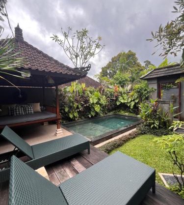 Badra House Bougainvillea