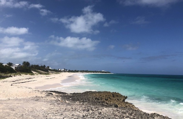 Bahamian cottage & guest house. Beach access & harbour views.best spot in town!