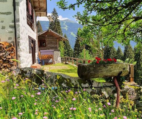 Baita - Chalet tra Pinzolo e Madonna di Campiglio