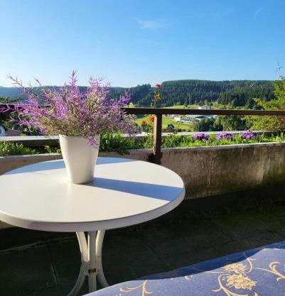 Balcony-Apartment in Schonach center