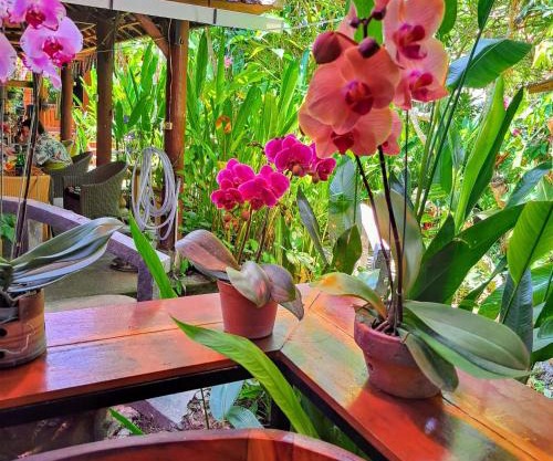 Bali Kembali Hotel