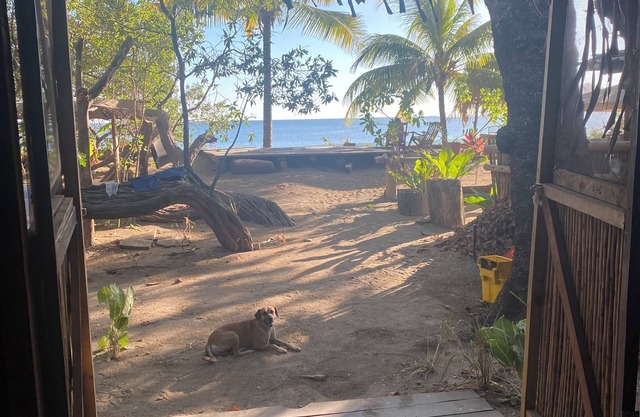 Bamboo Beach Bungalow